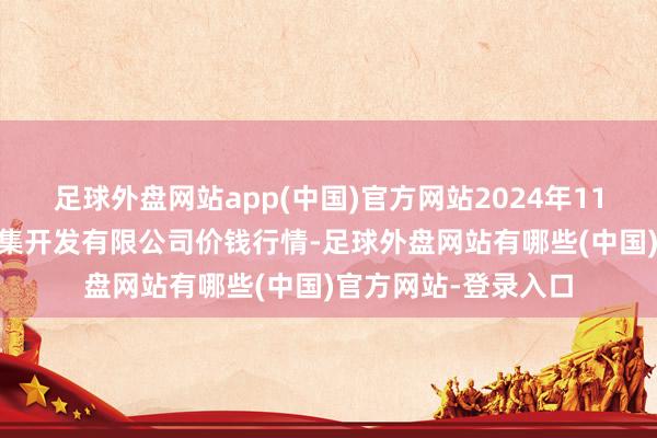 足球外盘网站app(中国)官方网站2024年11月28日嘉善绿洲市集开发有限公司价钱行情-足球外盘网站有哪些(中国)官方网站-登录入口